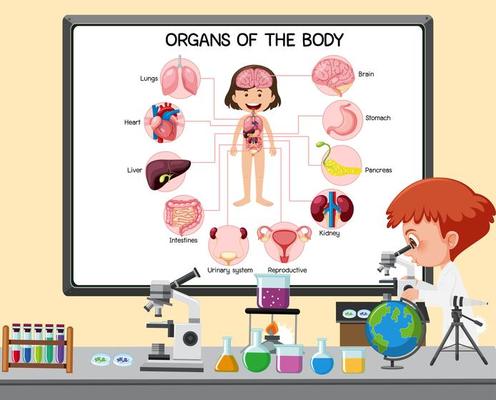 Young scientist explaining organs of the body in front of a board with laboratory elements