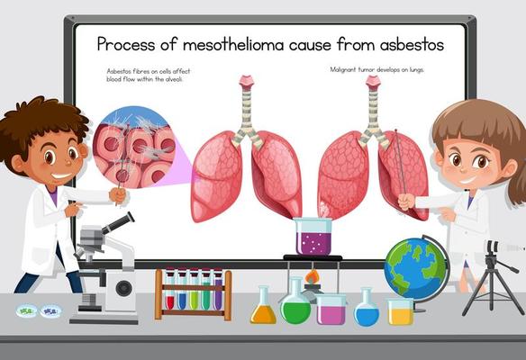 Young scientist explaining process of mesothelioma cause from asbestos in front of a board in laboratory
