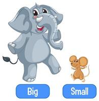 Opposite adjectives words with big and small vector