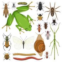 Conjunto de diferentes insectos sobre fondo blanco. vector