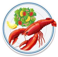 Aerial view of lobster salad vector
