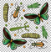 Set of different insects on transparent background vector