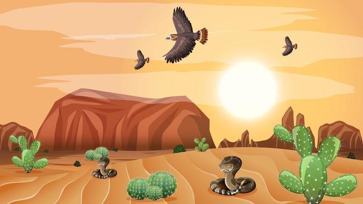 Cartoon Desert Vector Art, Icons, and Graphics for Free Download