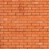 Brick wall background vector