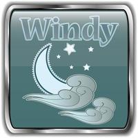 Night weather icon with text windy vector