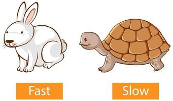 Opposite adjectives words with fast and slow vector