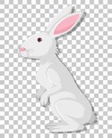 White rabbit cartoon isolated on transparent background vector