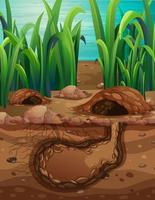 Empty underground animal hole vector