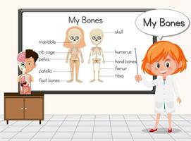 Young scientist standing in front of a board in laboratory vector