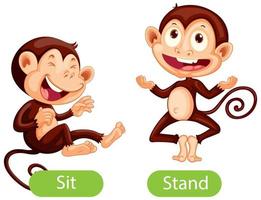 palabras opuestas con sit and stand vector