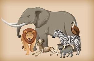 Group of wild animal on background vector