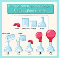 Science experiment with baking soda and vinegar balloon vector