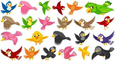 Set of bird cartoon character vector