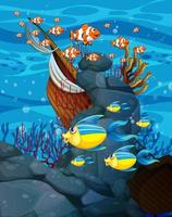 Many exotic fishes cartoon character in the underwater background vector