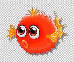 Cute puffer fish with big eyes cartoon character on transparent background vector