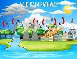 diagrama que muestra el camino de la lluvia ácida vector