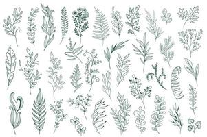 Hand drawn floral decorations vector