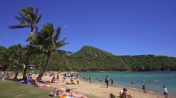 panorámica de la playa rodada en hawaii 4k video
