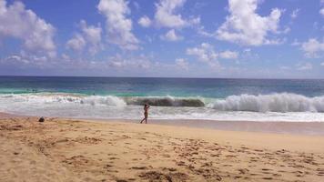 Plano amplio de playa hawaiana 4k video