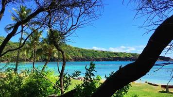 Hidden Beach of Hawaii 4K video