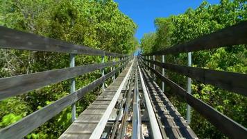 à cheval sur un dragon coaster partie 2 video