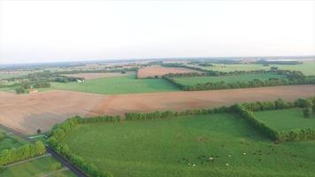 champ ouvert de terres agricoles survolent video