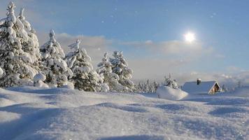 Schneetag 4k lebender Hintergrund video