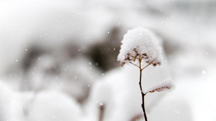 下雪影片