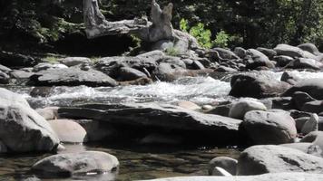 Water Rushes Around Rocks in a Creek video