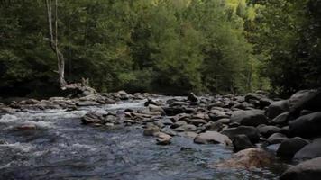 l'eau fouette autour d'un rocher dans une crique video