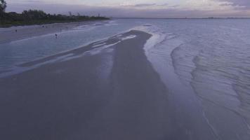 Aerial of birds flying off sandbar video