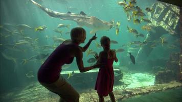 mère et fille à l & # 39; aquarium video