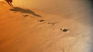 Surfer leaves footprints on the beach video