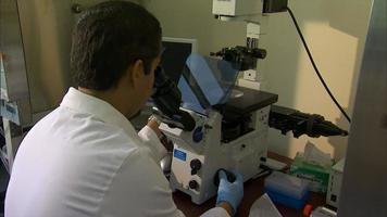 trabajador de laboratorio en microscopio video