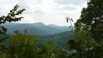 Tree covered mountains by lake video