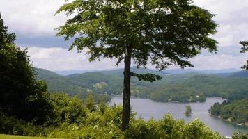 vue sur le lac de loisirs en été video