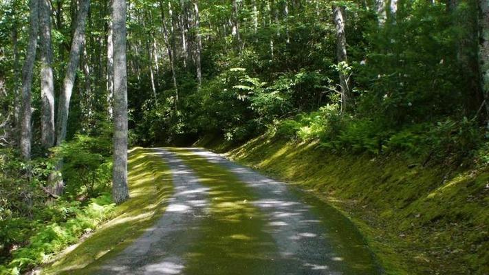 道路影片