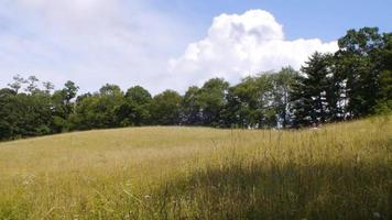 Puffy clouds moving quickly over a meadow video