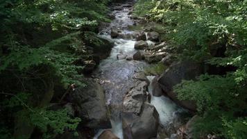 Water Flowing in Stream 4k video