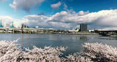 Toma aérea de drone de la carretera del río oregon cherry blossoms en 4k video