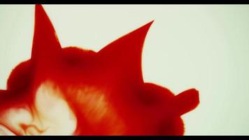 mezcla de pintura roja y blanca para crear una forma espinosa naranja video