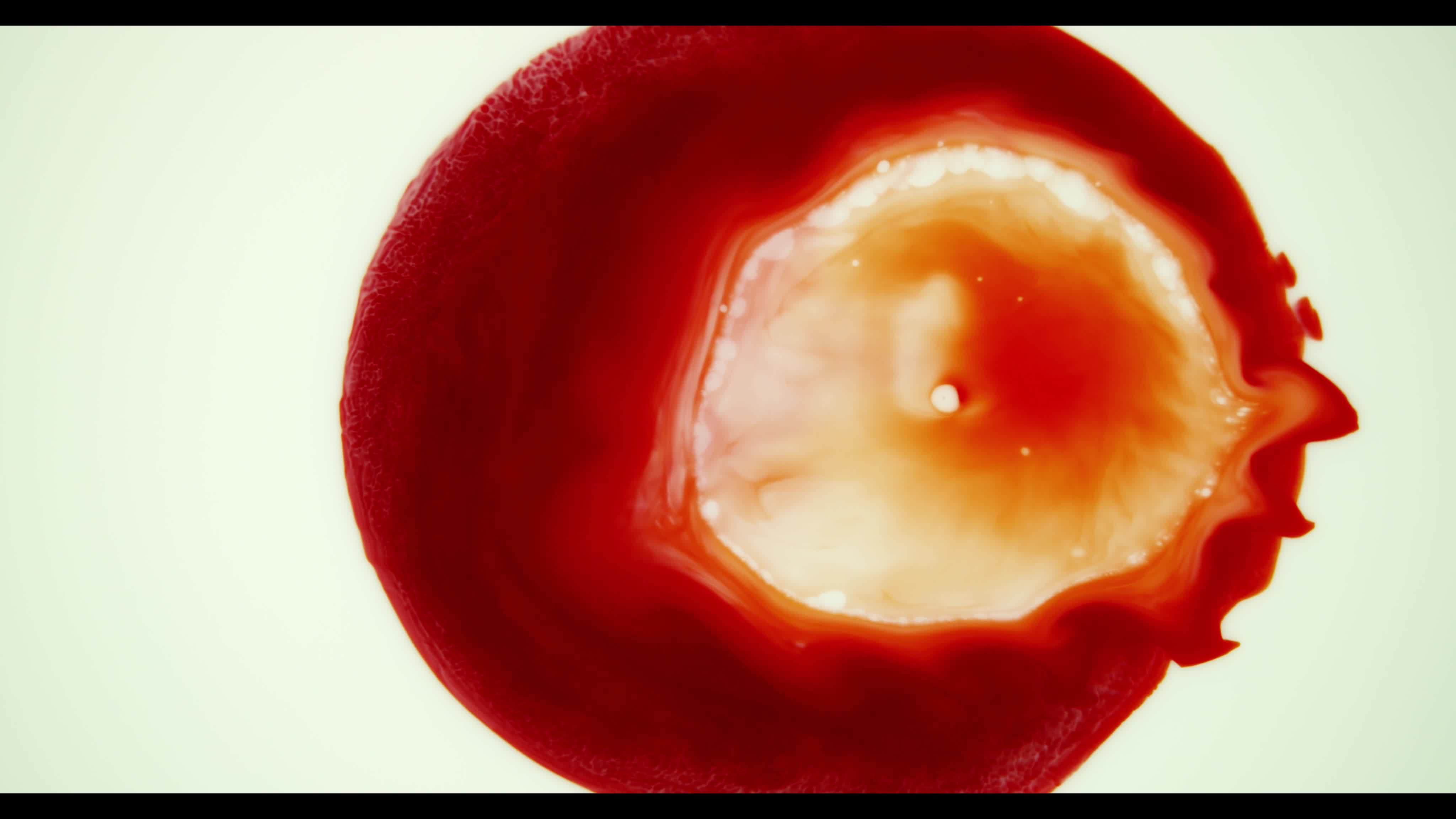 Red paint mixing on white paint surface creating circles of different sizes 1616104 Stock Video