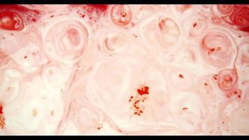 Red paint moving on white paint surface creating several random shapes video
