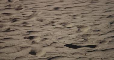 viaggiando colpo di vicino alla spiaggia di sabbia con orme in 4K video