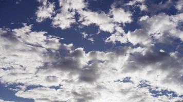 time-lapse van grote groep grijze altocumulus wolken bewegen van rechts naar links op blauwe hemel in 4k video