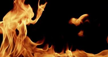 flammes chaudes clignotant et se déplaçant pour des sujets de dévastation au ralenti 4k video