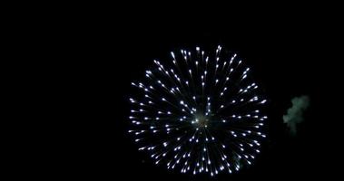 Static shot of purple fireworks glowing in the night in 4K slowmotion video