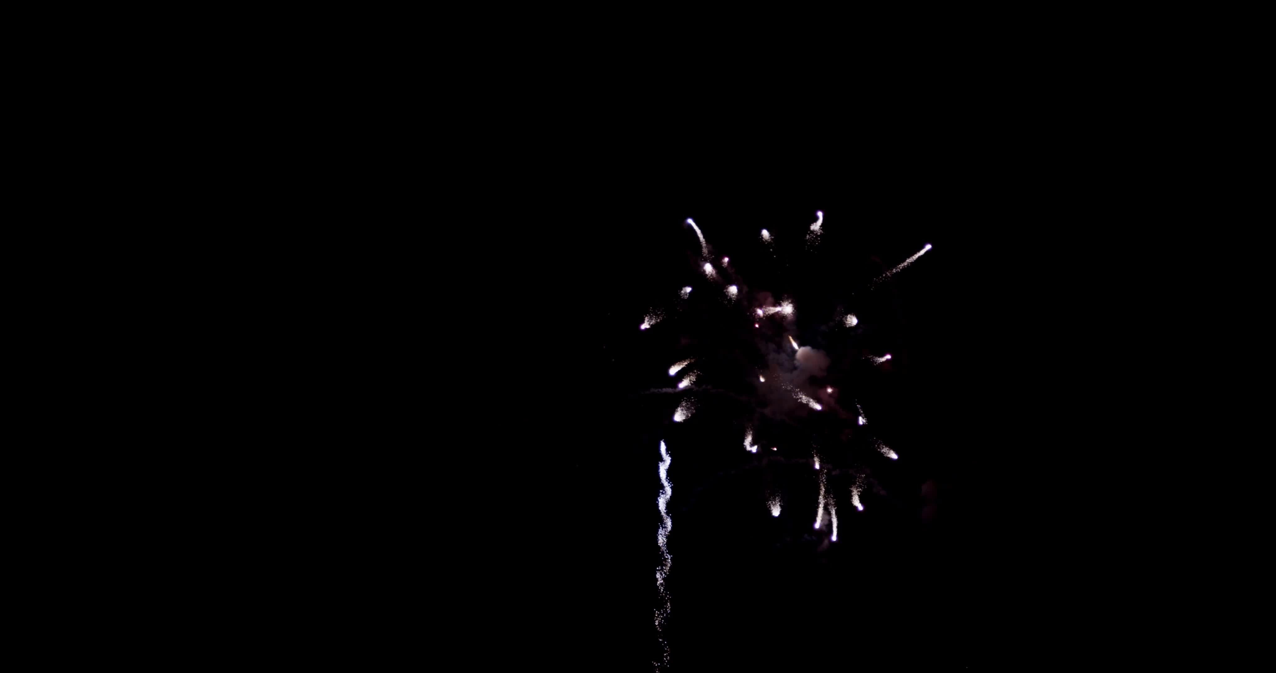 Chrysanthemum, bees and crossette firework effect in 4K 1616436 Stock