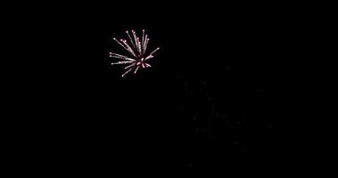 effetto fuoco d'artificio crisantemo incandescente nella notte oscura in 4K