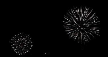 effetti di fuochi d'artificio di peonia, crisantemo e crossette nella scena notturna in 4K